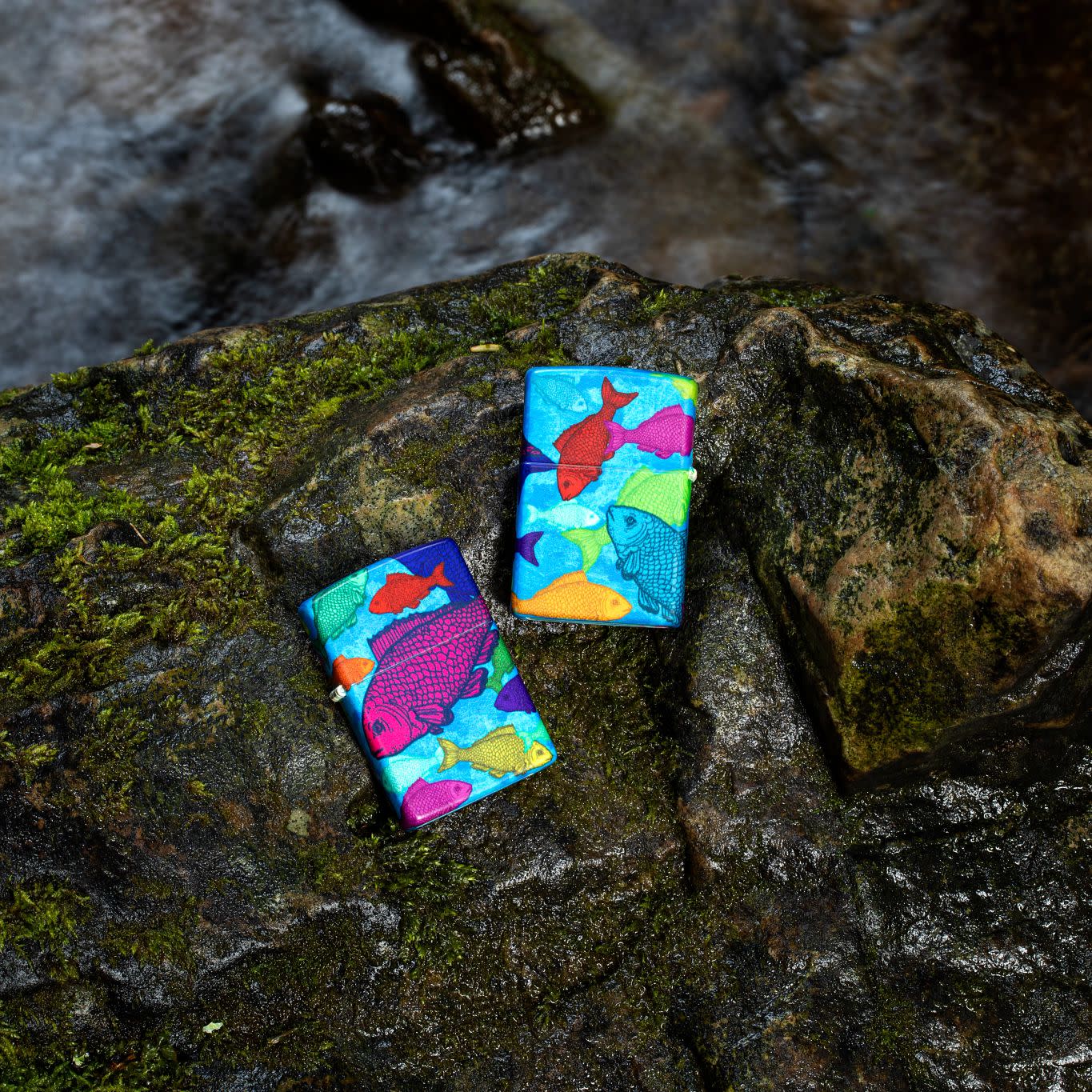 Fishy Design - Image 2