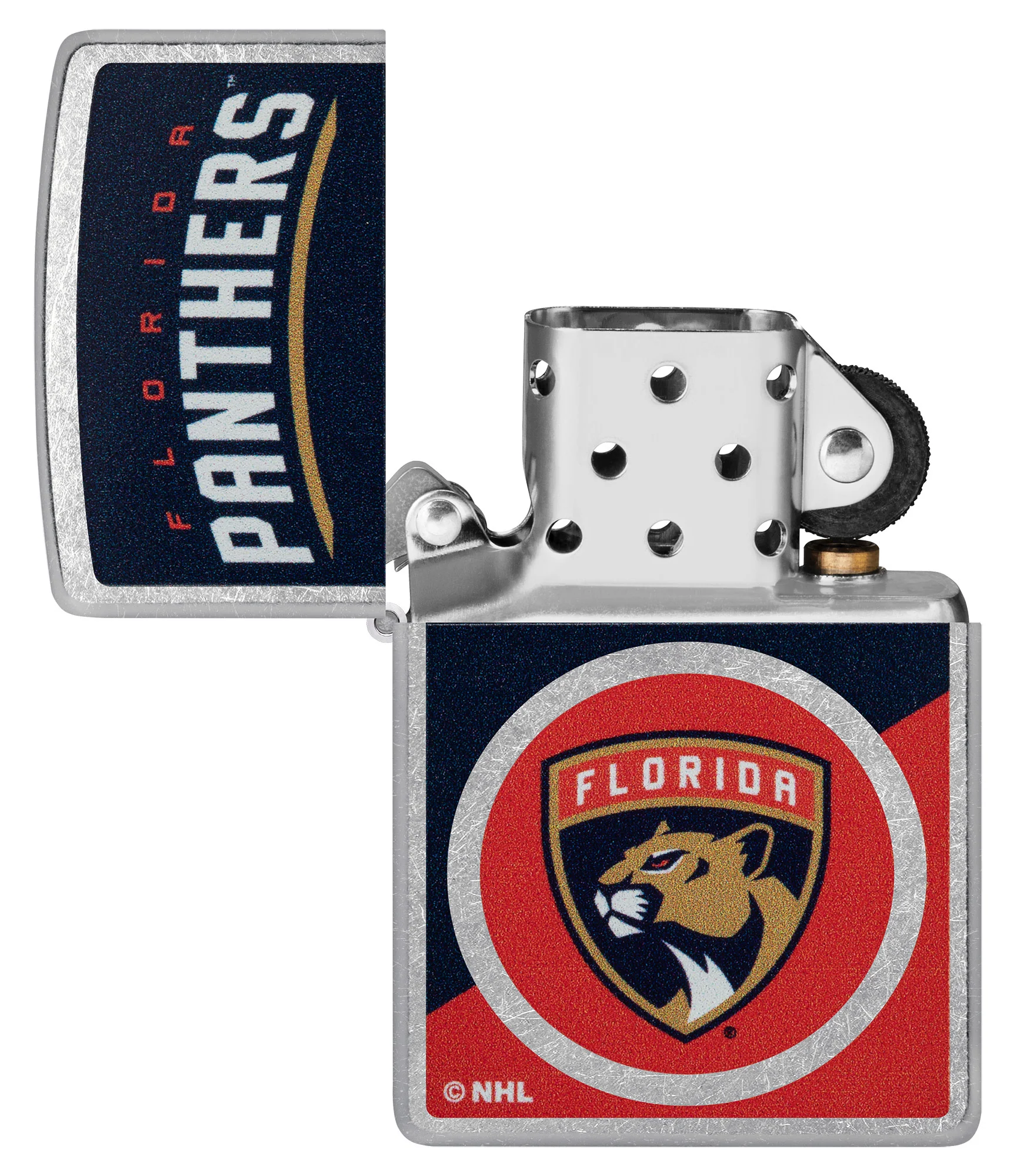 Florida Panthers⢠Colorblock Logo Design - Image 5