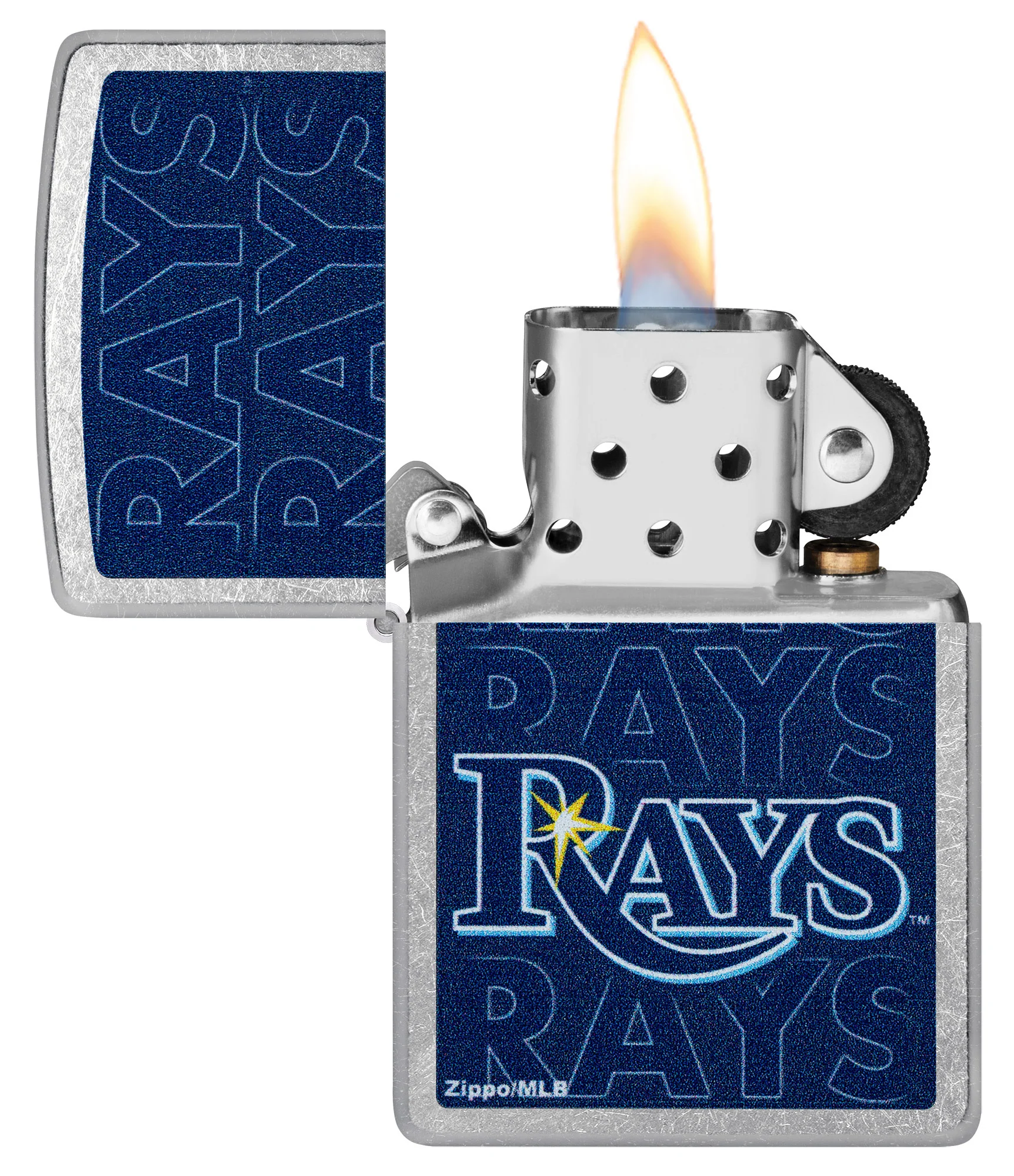 MLB® Tampa Bay Rays™ Logo Design - Image 4