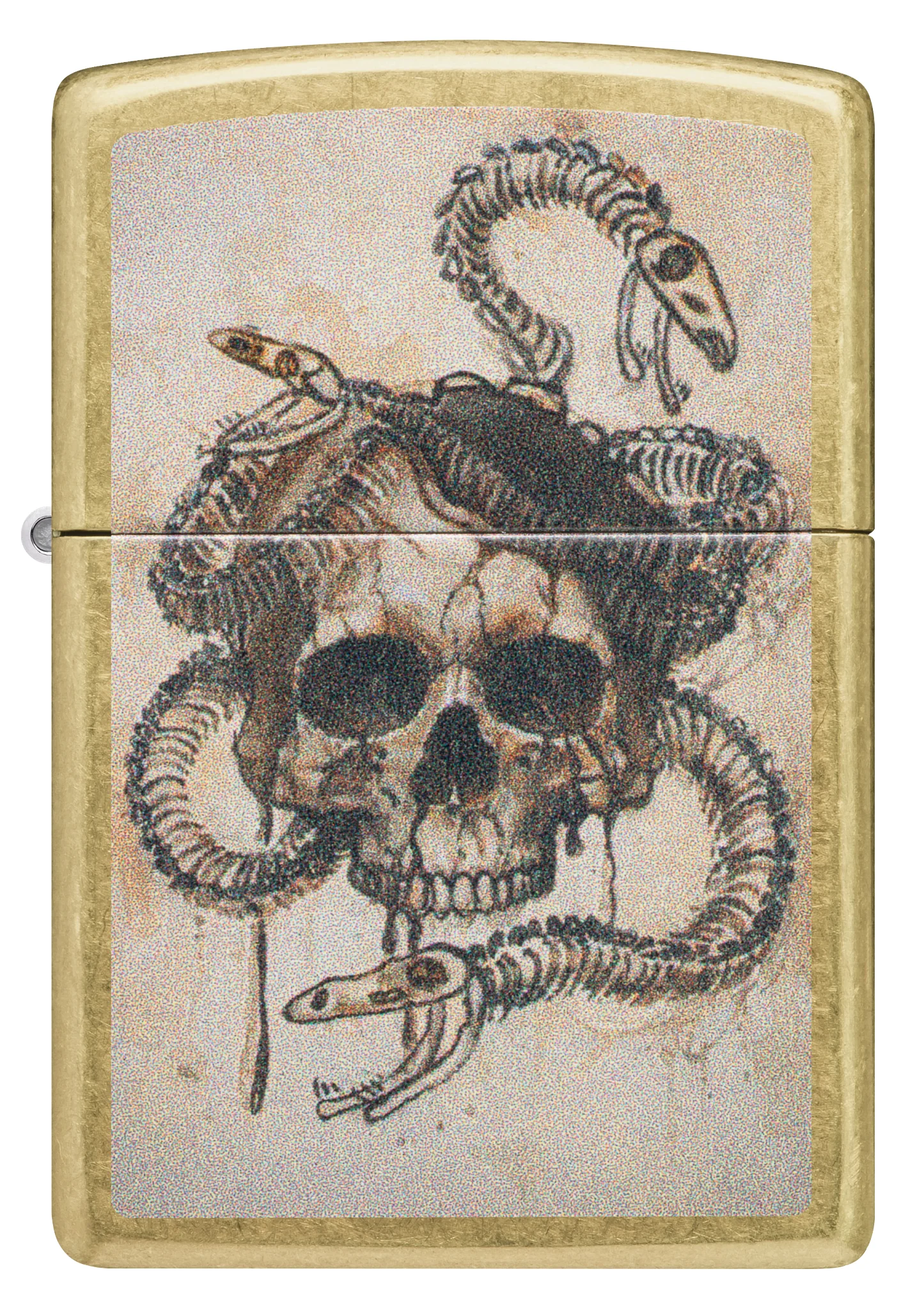 Skull and Snake Bones Design - Image 3